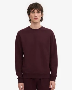 Classic Organic Crew - Oxblood Red