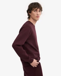 Classic Organic Crew - Oxblood Red