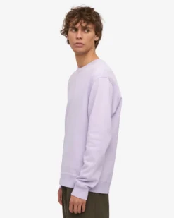 Classic Organic Crew - Soft Lavender