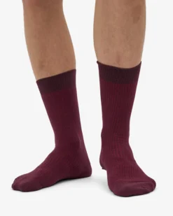 Classic Organic Sock - Oxblood Red (3-Pack)