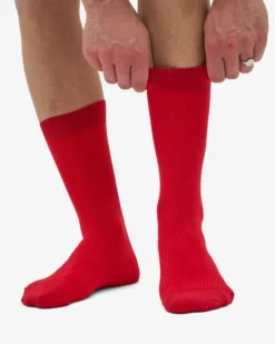 Classic Organic Sock - Scarlet Red (3-Pack)