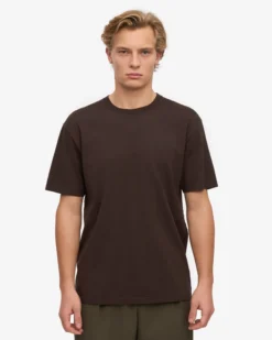 Classic Organic Tee - Coffee Brown (3-Pack)