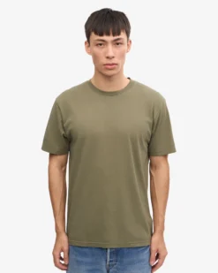 Classic Organic Tee - Dusty Olive (3-Pack)