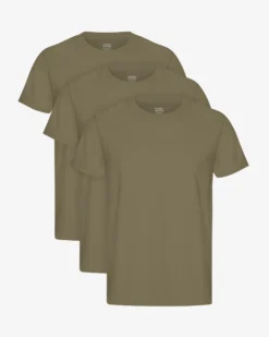 Classic Organic Tee - Dusty Olive (3-Pack)