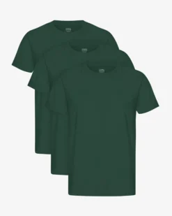 Classic Organic Tee - Emerald Green (3-Pack)