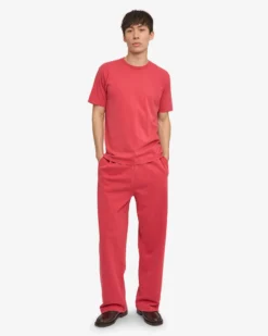 Classic Organic Tee - Faded Red