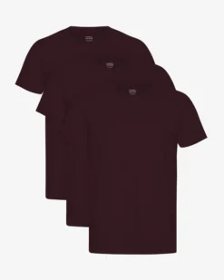 Classic Organic Tee - Oxblood Red (3-Pack)