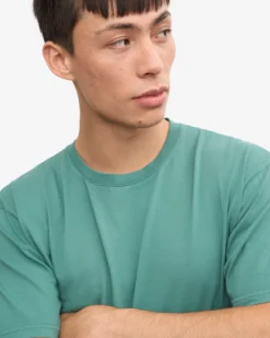 Classic Organic Tee - Pine Green (3-Pack)