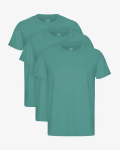 Classic Organic Tee - Pine Green (3-Pack)