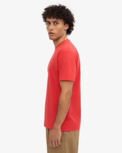 Classic Organic Tee - Red Tangerine (3-Pack)