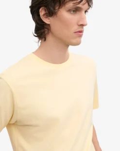 Classic Organic Tee - Soft Yellow