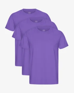 Classic Organic Tee - Ultra Violet (3-Pack)