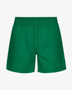 Classic Swim Shorts - Kelly Green