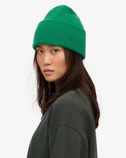 Merino Wool Hat - Kelly Green