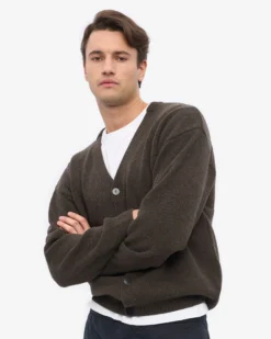 Merino Wool V-Neck Cardigan - Coffee Brown