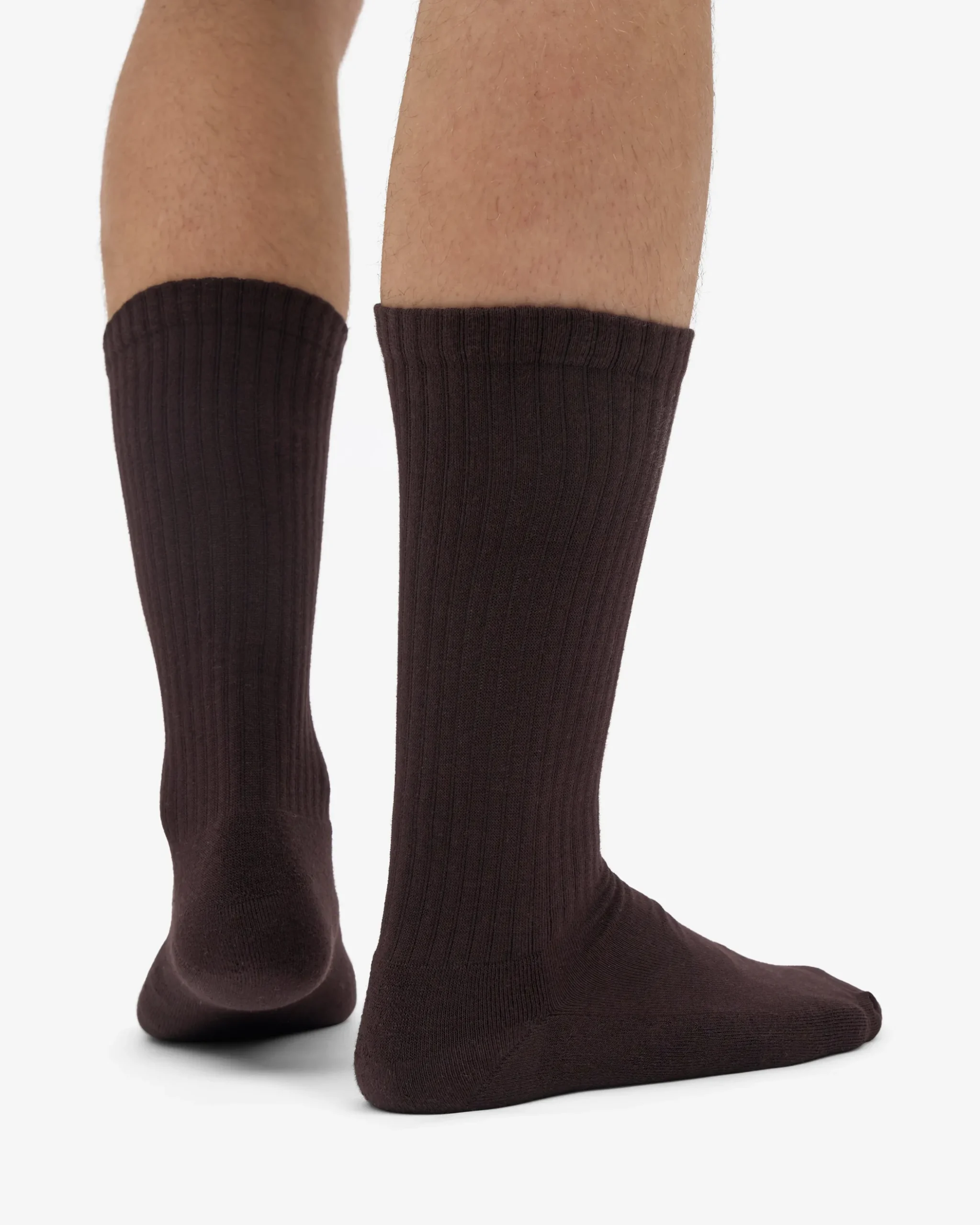 Organic Active Sock - Coffee Brown (3-Pack)