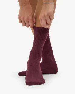 Organic Active Sock - Oxblood Red (3-Pack)