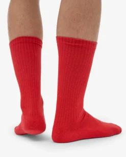 Organic Active Sock - Red Tangerine (3-Pack)