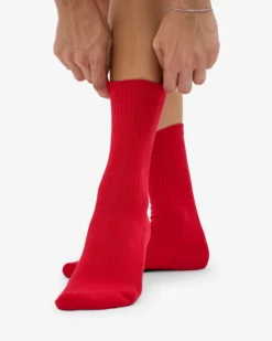 Organic Active Sock - Scarlet Red (3-Pack)