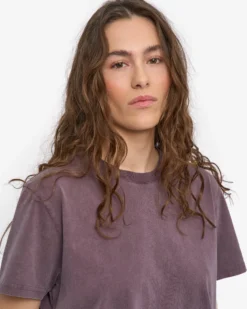 Organic Boxy Crop Tee - Faded Grape