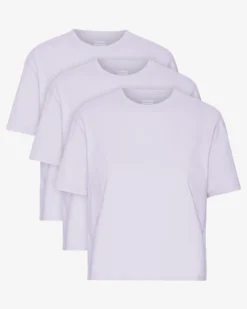 Organic Boxy Crop Tee - Soft Lavender (3-Pack)
