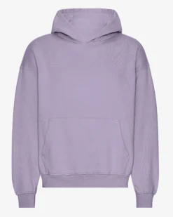 Organic Oversized Hood - Purple Jade