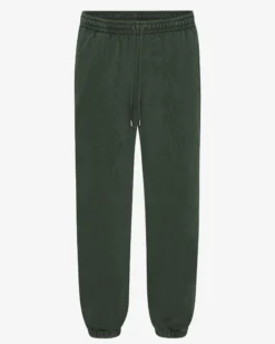Organic Relaxed Sweatpants - Midnight Forest
