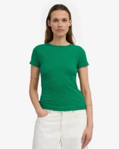 Organic Rib T-Shirt - Kelly Green