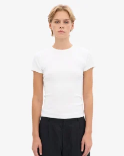 Organic Rib T-Shirt - Optical White
