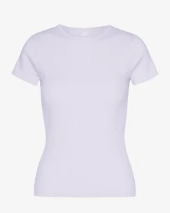 Organic Rib T-Shirt - Soft Lavender