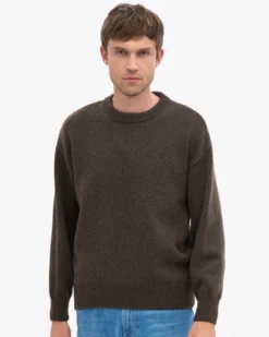 Oversized Merino Wool Crew - Coffee Brown