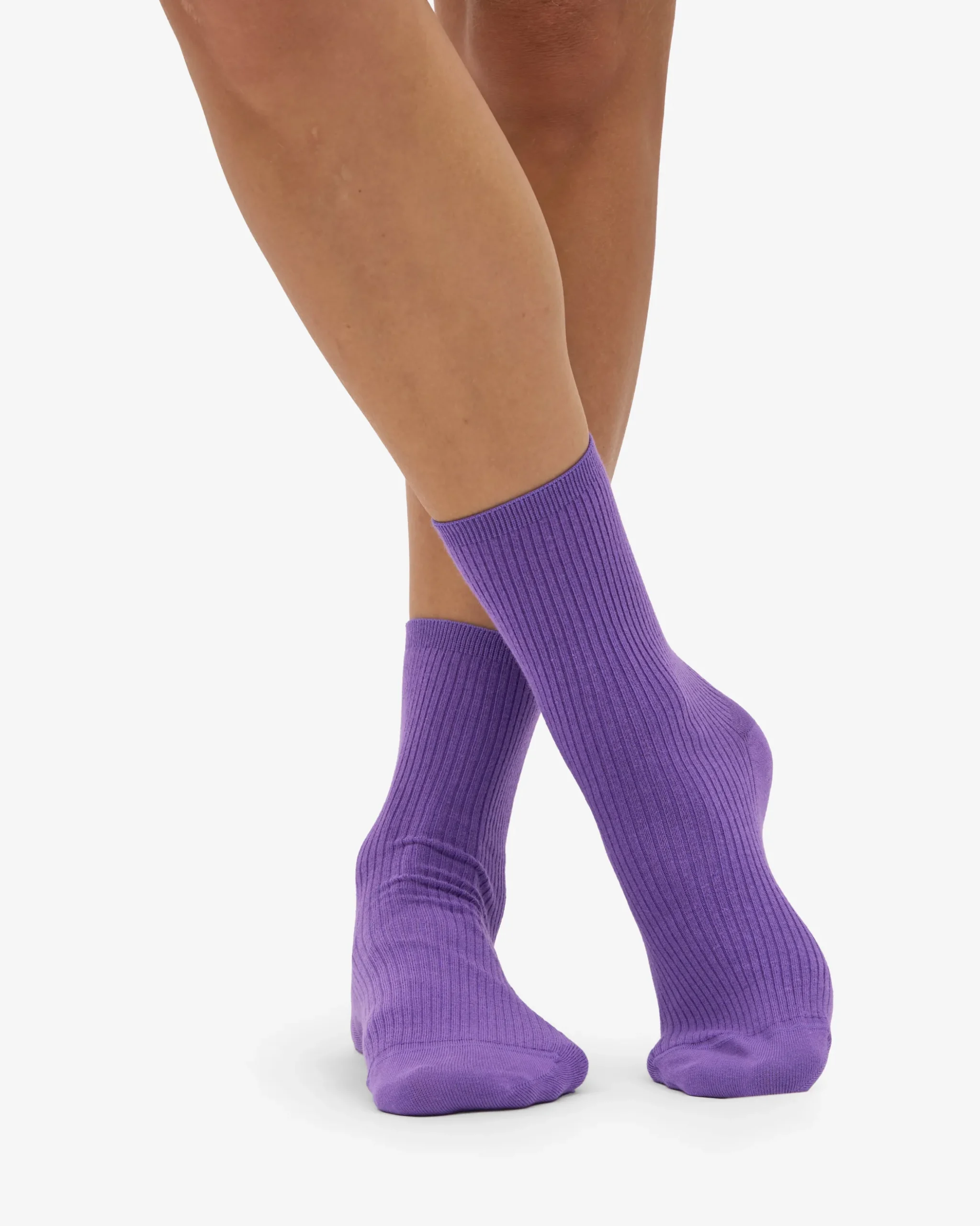 Women Classic Organic Sock - Ultra Violet (3-Pack)